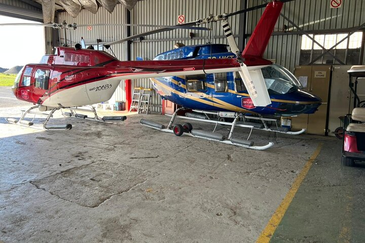 Helicopter, Boat Cruise, Big 5 Safari and Winelands Scenic Experience in 4 Days. - Photo 1 of 25